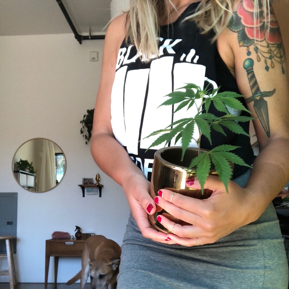 D O N A T I N G ✨ S O O N ✨